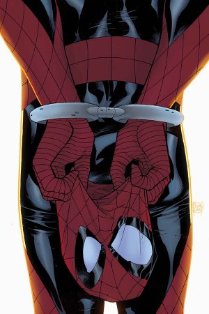 PETER PARKER: SPECTACULAR SPIDER-MAN #297